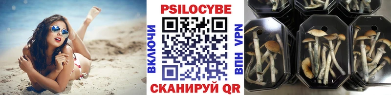 Псилоцибиновые грибы Magic Shrooms  Нерехта 